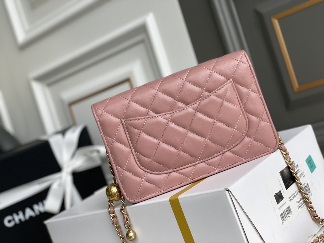 Chanel WOC Bags